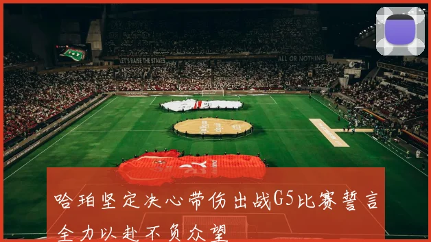 哈珀坚定决心带伤出战G5比赛誓言全力以赴不负众望