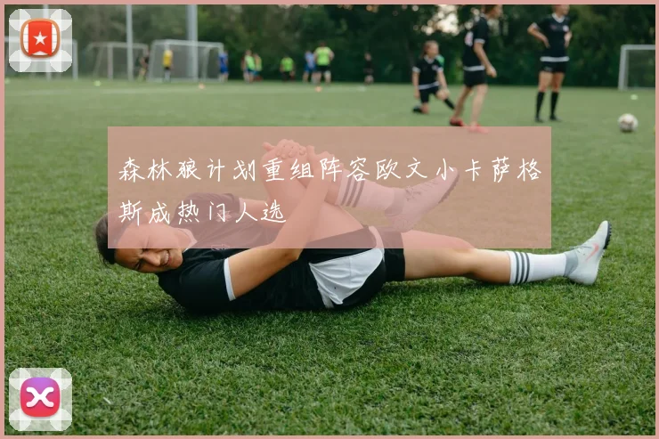 森林狼计划重组阵容欧文小卡萨格斯成热门人选